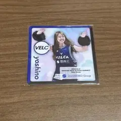 VELC yoshino マグネット