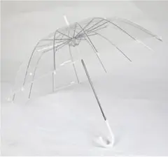 Item thumbnail for item 8c61020b-1d2b-4d46-9c24-85ad02a5ec61