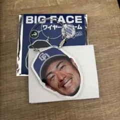 中日ドラゴンズ　ドラゴンズストア　BIG FACE ワイヤーチャーム　木下拓哉