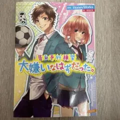 HoneyWorks 大嫌いなはずだった 小説