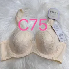 Item thumbnail for item 338b4de2-d89e-47d8-a830-1262e5d40260