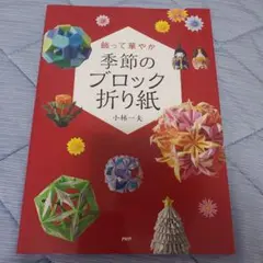 飾って華やか　季節のブロック折り紙　小林一夫