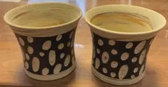 常滑焼　憲児陶苑　コップ　2個セット