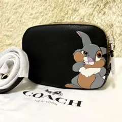 新品◇入手困難◇ COACH コーチ ディズニー とんすけ ショルダーバッグ 黒