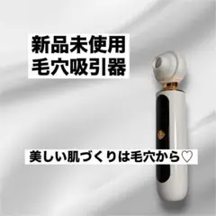 Item thumbnail for item daad139a-312f-4166-9c28-068ca287c328