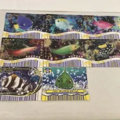 マリン★マリン ミナミハコフグと珊瑚礁の仲間達 魚 カード さかなクン