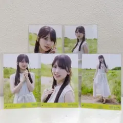 Item thumbnail for item 59a9727f-f714-423a-93b1-1d97cbe36459