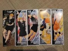 ハイキューロングステッカー