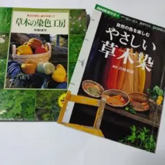 自然の色を楽しむやさしい草木染