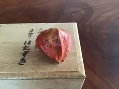 2025年最新】西塚栄治の人気アイテム - メルカリ
