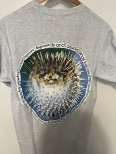 Supreme Tシャツ Sサイズ　ハリセンボン