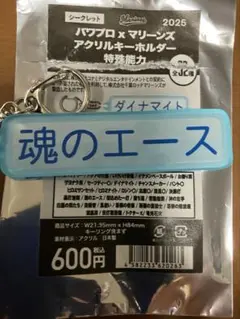 千葉ロッテマリーンズ　パワプロ　アクキー