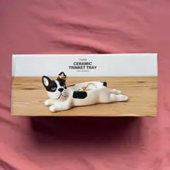 TYPO フレンチブルドッグ　セラミック トリンケットトレイ