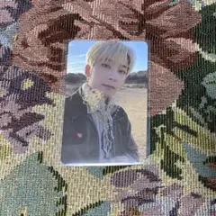 SEVENTEEN ウォヌ トレカ