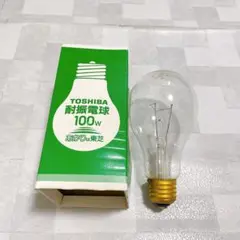 ☆TOSHIBA 耐振電球 100W 110V