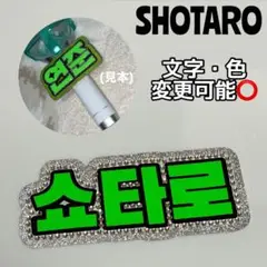 Item thumbnail for item 6c4f9a6e-f595-400b-b85d-2c976250501e