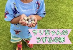 サリちゃんの日本うずらの卵10個（ノーマルカラー）