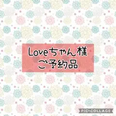 【Loveちゃん様ご予約品】ハンドメイド商品