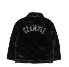 Item thumbnail for item ca16e179-1cb0-41fa-b5df-ba74c594756a