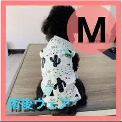 Item thumbnail for item c233b1e4-1d16-40bf-bd55-ef8546ecbd0a