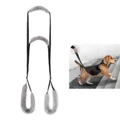 Item thumbnail for item d0a1869d-cc37-45a9-8025-d13689295a7a