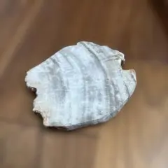 石　小物置き
