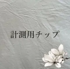 計測用ネイルチップ