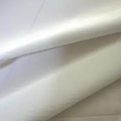 Item thumbnail for item 24934a52-e0a4-4a0b-a52e-11183d7242d4