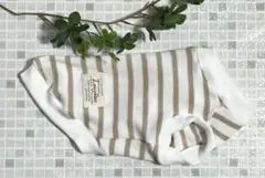 Item thumbnail for item 2a8ddd58-5346-4e47-bb56-19616bc1f050