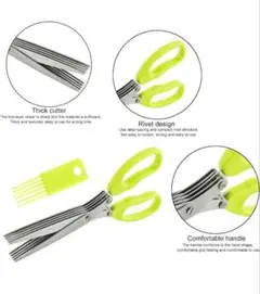 Item thumbnail for item a5da5292-fcb3-45bb-a742-28c894411905