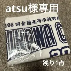 新品未開封　2023 沖縄尚学 タオル