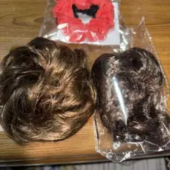 Item thumbnail for item 4f8632a6-f413-450d-a7e0-5b52df9dc13b