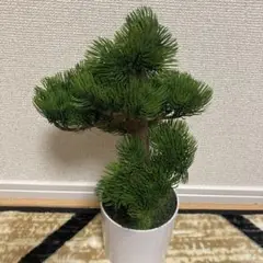 Item thumbnail for item f943d037-9fcc-49d5-86ae-73ad4d54cb6d