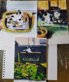 イラスト原画「庭猫」3点