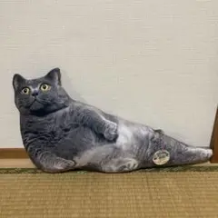【新品タグ付き】リアルデブ猫クッション　約５０センチ　ねこ　ぬいぐるみ