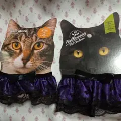 Item thumbnail for item 7c380bd6-dd82-421f-8b58-9d29ee411478