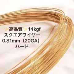 新価格　14kgf 0.81mm スクエアワイヤー　ハード　 50センチ