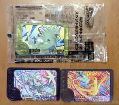 匿名配送ポケモンフレンダ　ファイヤー　サーナイト　バンギラス
