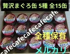 Item thumbnail for item c80812f3-8325-4594-8b41-51923805ca6d
