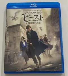 ファンタスティックビーストと魔法使いの旅 ブルーレイ