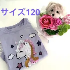 ユニコーン　スパンコールトップス(サイズ120)
