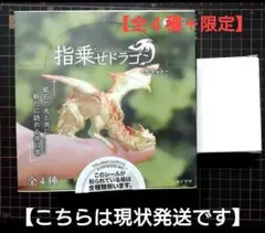 2025年最新】指乗せドラゴン 翡翠の人気アイテム - メルカリ