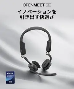 Item thumbnail for item b7a1a666-ace5-496a-a454-f1bbcb052314