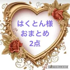 はくとん様 おまとめ2点