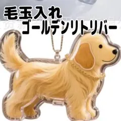 Item thumbnail for item 620b1dc1-c848-4d18-8eb4-8a087c419251