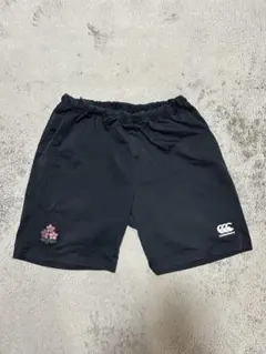 ラグビー 日本代表 ハーフ