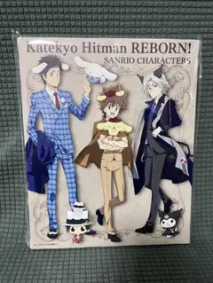 REBORN サンリオくじ A賞 キャンバスボード 沢田　獄寺　山本　リボーン
