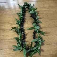 ククイマイレイ