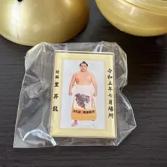 【新品】豊昇龍 ピンバッジ 令和五年七月場所