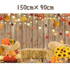 Item thumbnail for item 557bd7a0-a093-4efd-aa64-9ab20d3a3486